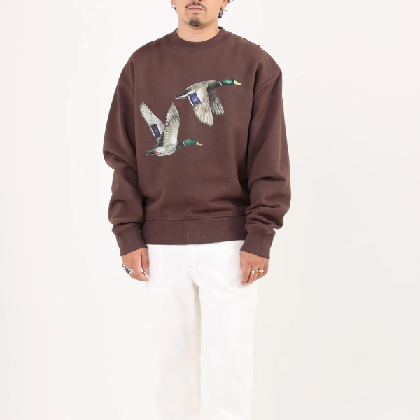 Sabbatical Ducks Sweater Bruin