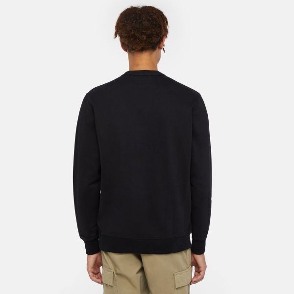 Dickies Aitkin Sweater Zwart