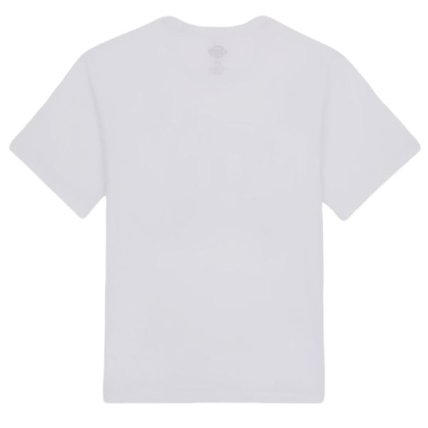 Dickies Aitkin T-shirt Wit