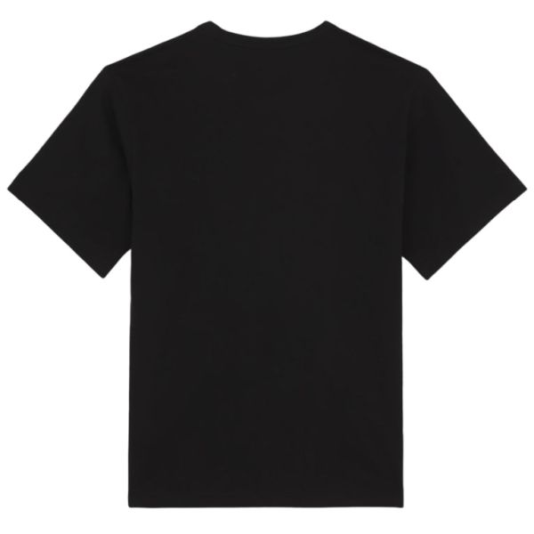 Dickies Aitkin T-shirt Zwart