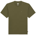 Dickies Clancy Heavyweight T-shirt Donker Groen