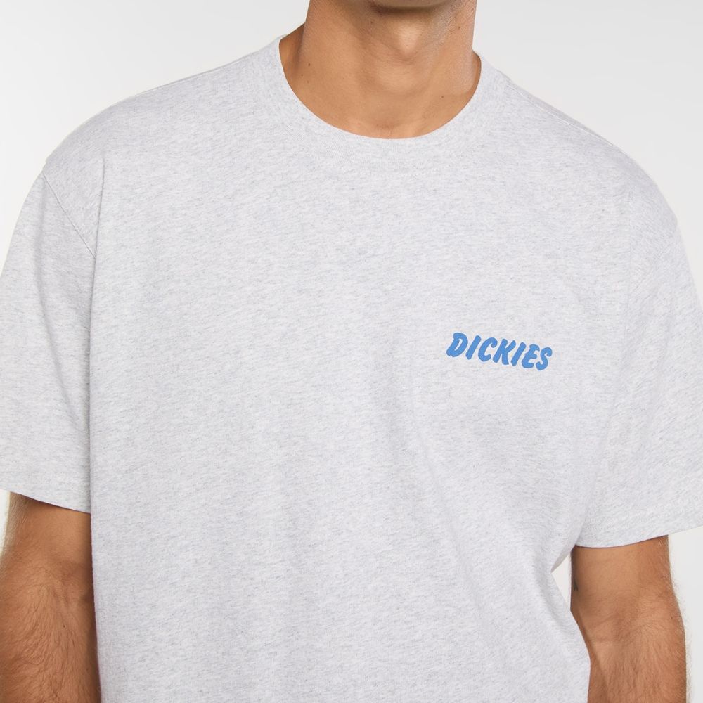 Dickies Dry Ridge T-shirt Grijs