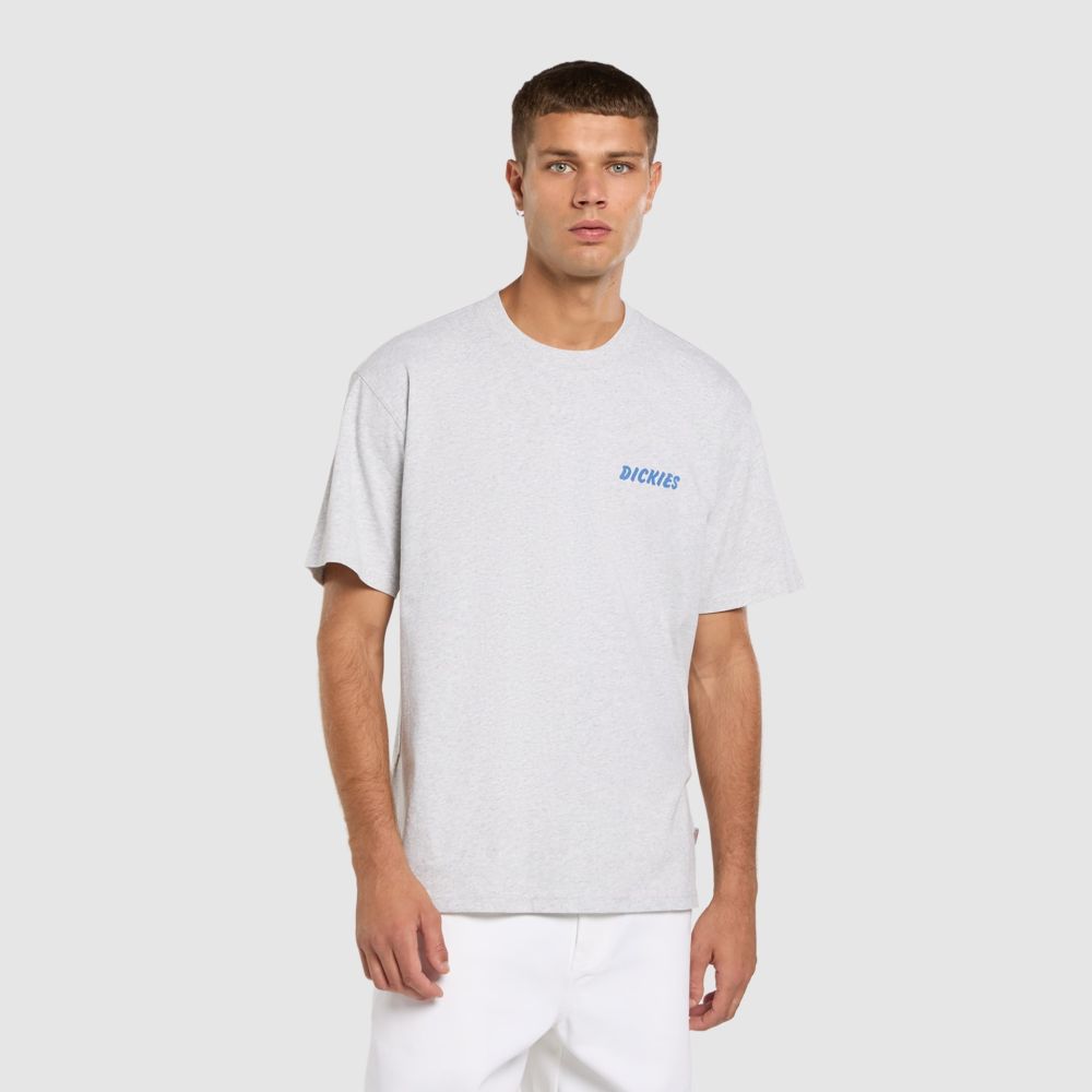 Dickies Dry Ridge T-shirt Grijs