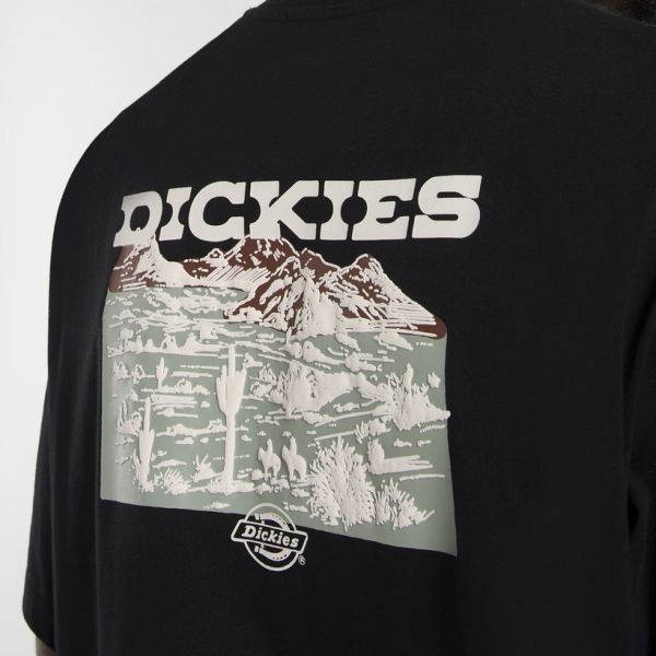 Dickies Landscape T-shirt Zwart