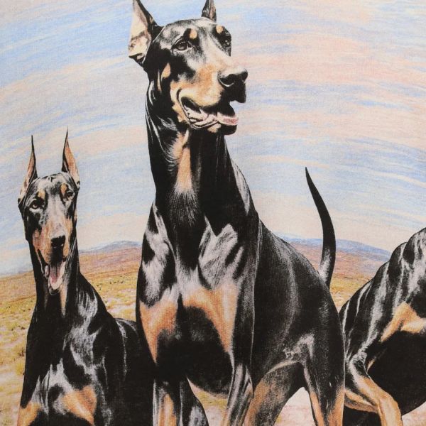 Represent Western Dobermans Hoodie Wit