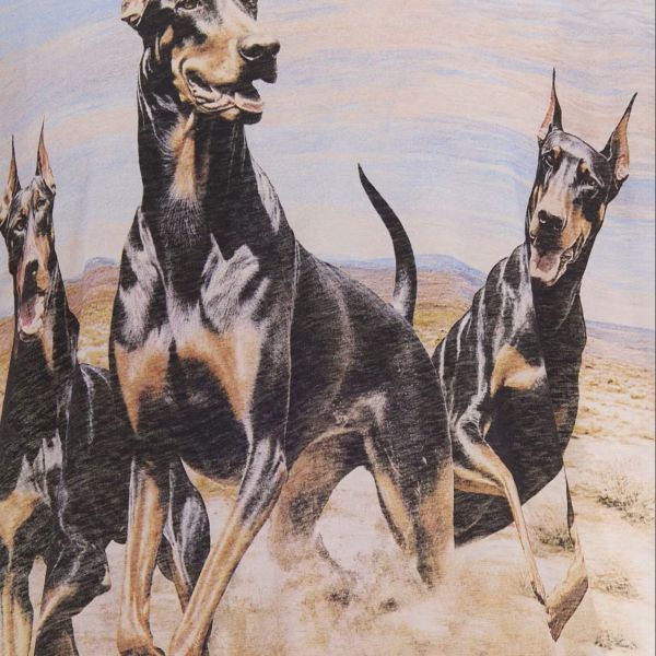 Represent Western Dobermans T-shirt Wit