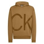 Calvin Klein Logo Hoodie Bruin
