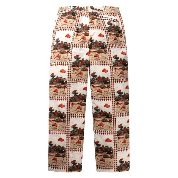 Daily Paper Rashid Broek Meerkleurig