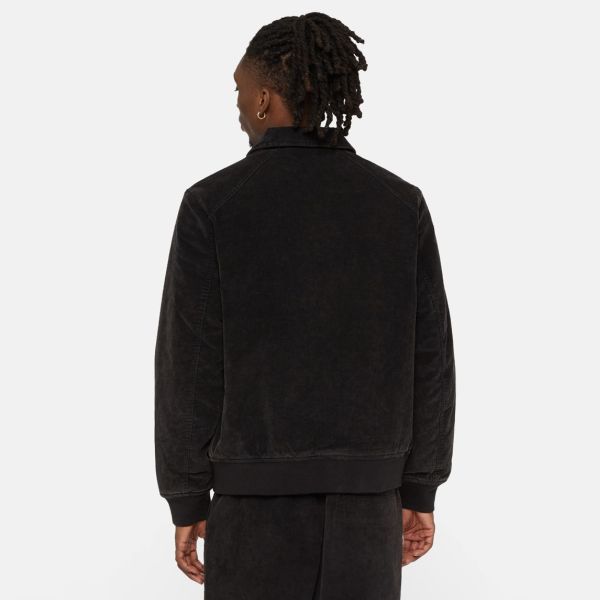 Dickies Chase City Jack Zwart