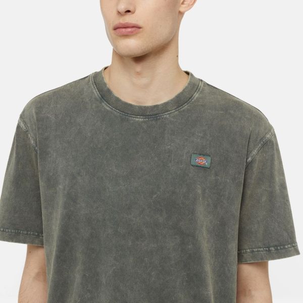 Dickies Newington T-shirt Donker Groen