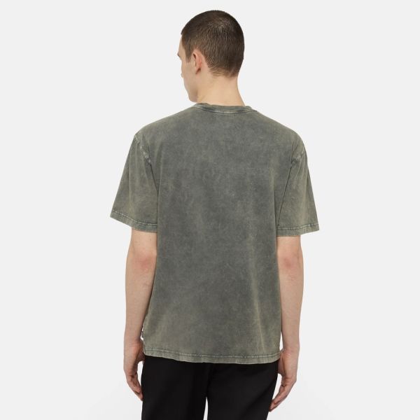 Dickies Newington T-shirt Donker Groen