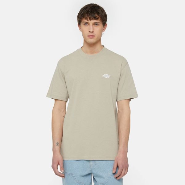 Dickies Summerdale T-shirt Beige