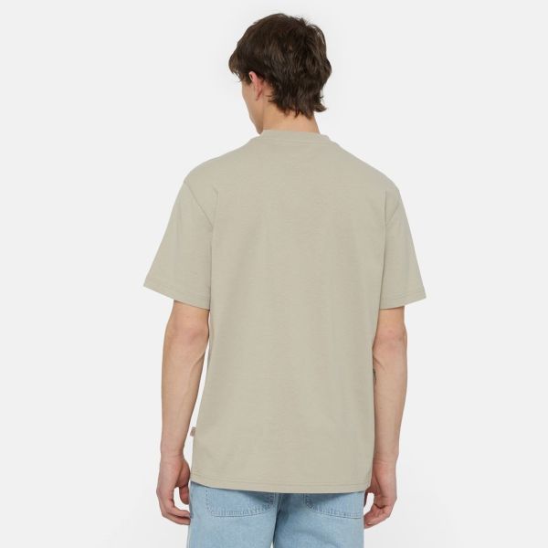 Dickies Summerdale T-shirt Beige