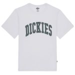 Dickies Aitkin T-shirt Wit