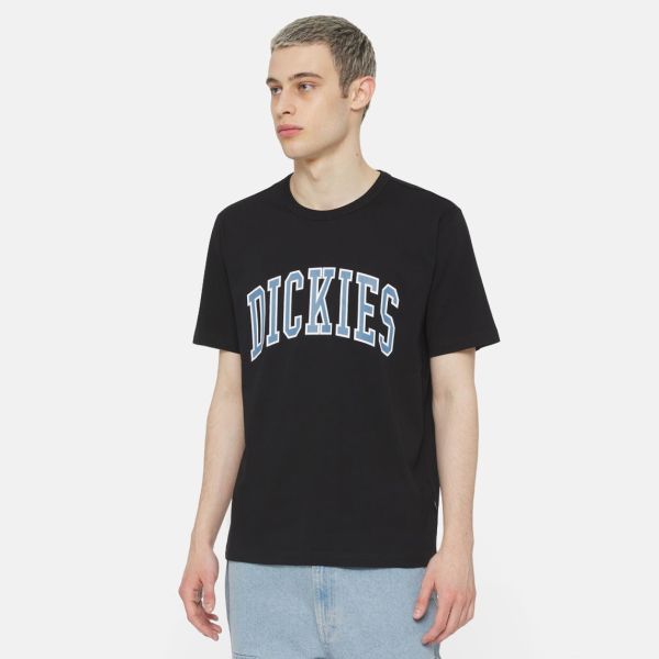 Dickies Aitkin T-shirt Zwart