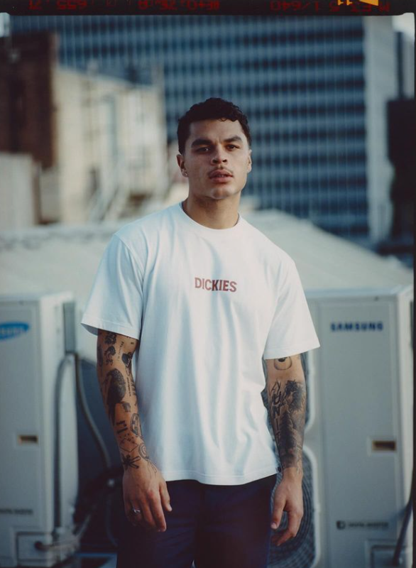 Dickies