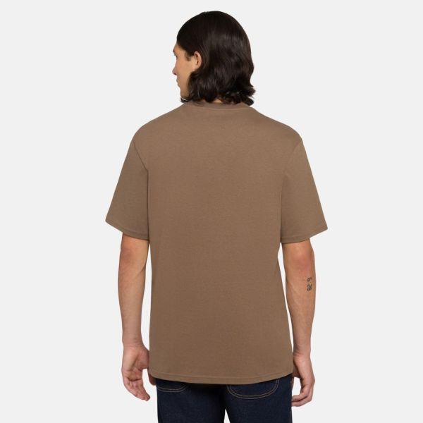 Dickies Summerdale T-shirt Bruin