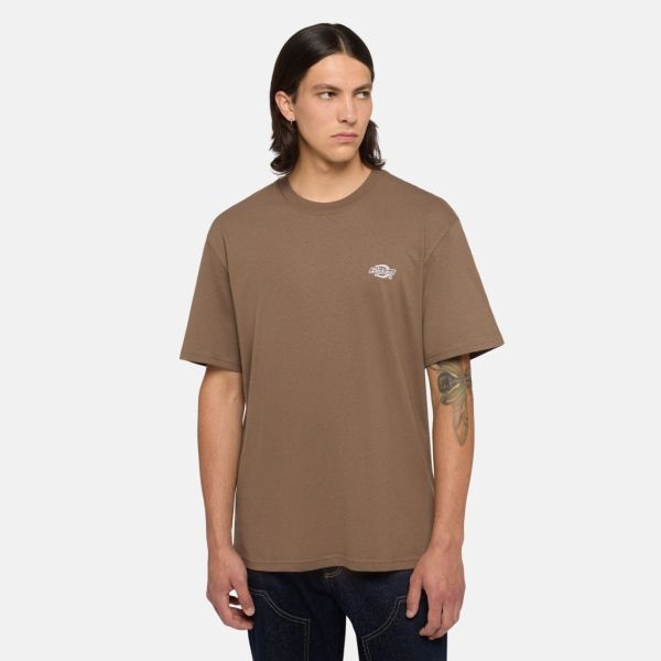 Dickies Summerdale T-shirt Bruin