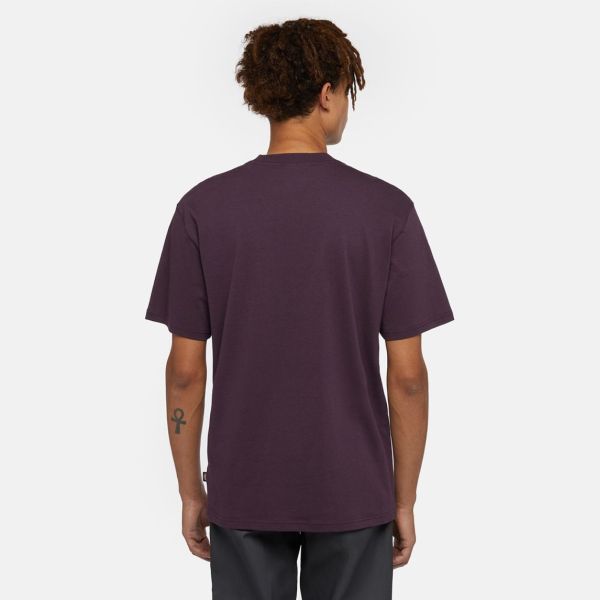 Dickies Summerdale T-shirt Paars