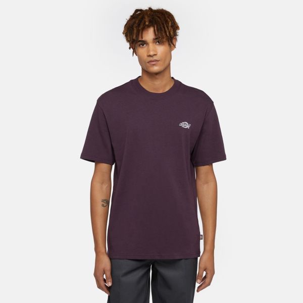 Dickies Summerdale T-shirt Paars
