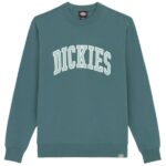 Dickies Aitkin Sweater Groen