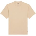 Dickies Clancy Heavyweight T-shirt Beige