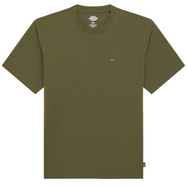 Dickies Clancy Heavyweight T-shirt Donker Groen