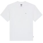 Dickies Clancy Heavyweight T-shirt Wit