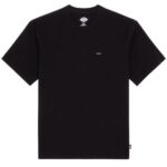 Dickies Clancy Heavyweight T-shirt Zwart