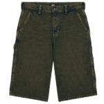Dickies Loose Painter Korte Broek Donker Groen