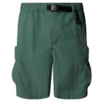 The North Face Cargo Korte Broek Groen